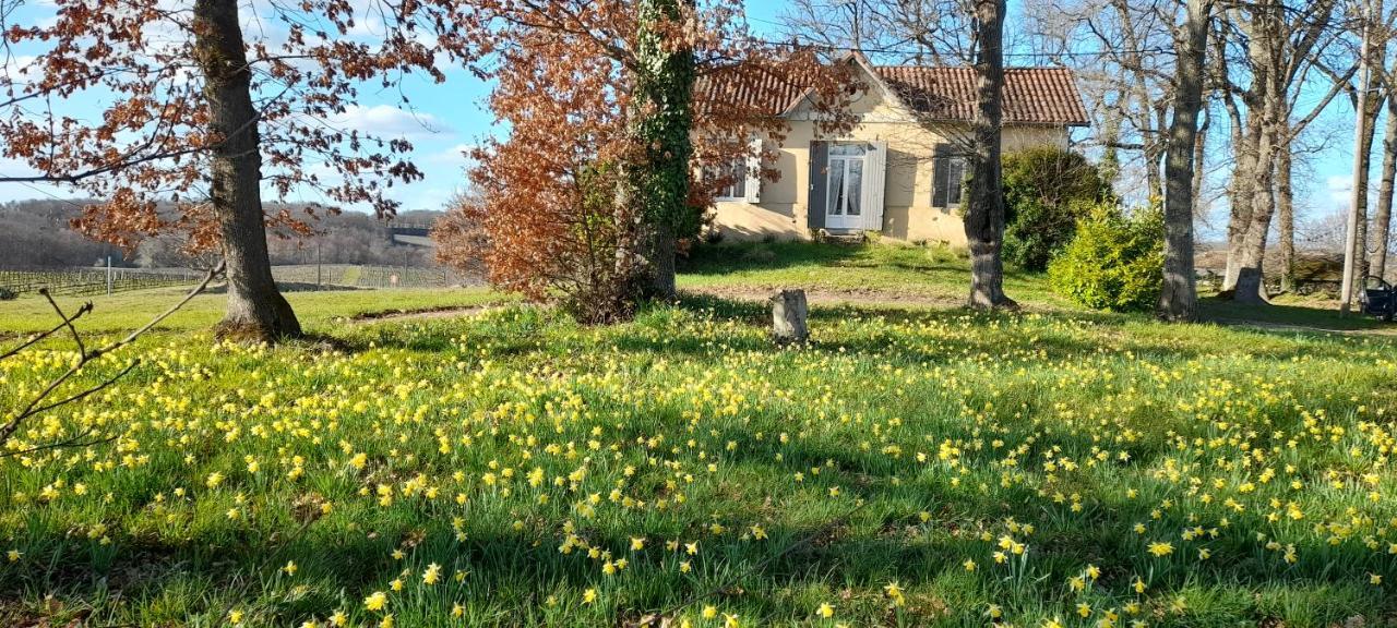 Saint-Genès-de-CastillonMoulin De Bigorre别墅 外观 照片