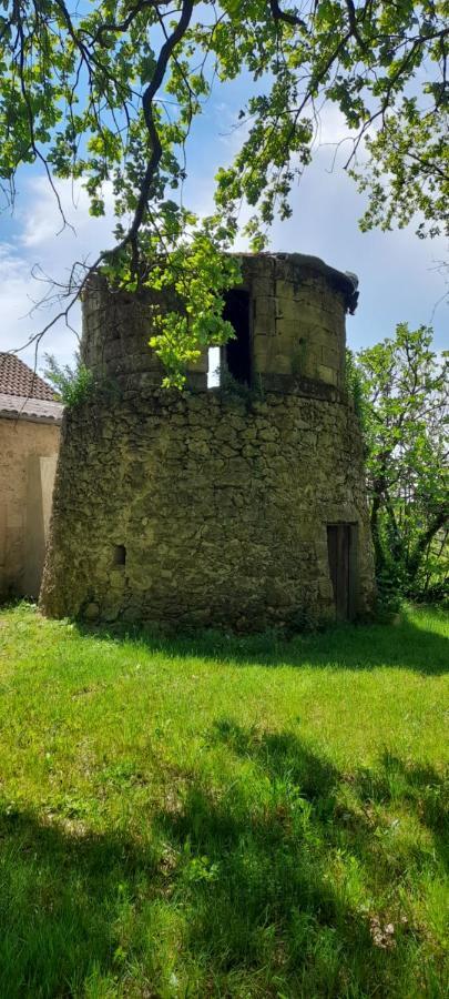 Saint-Genès-de-CastillonMoulin De Bigorre别墅 外观 照片
