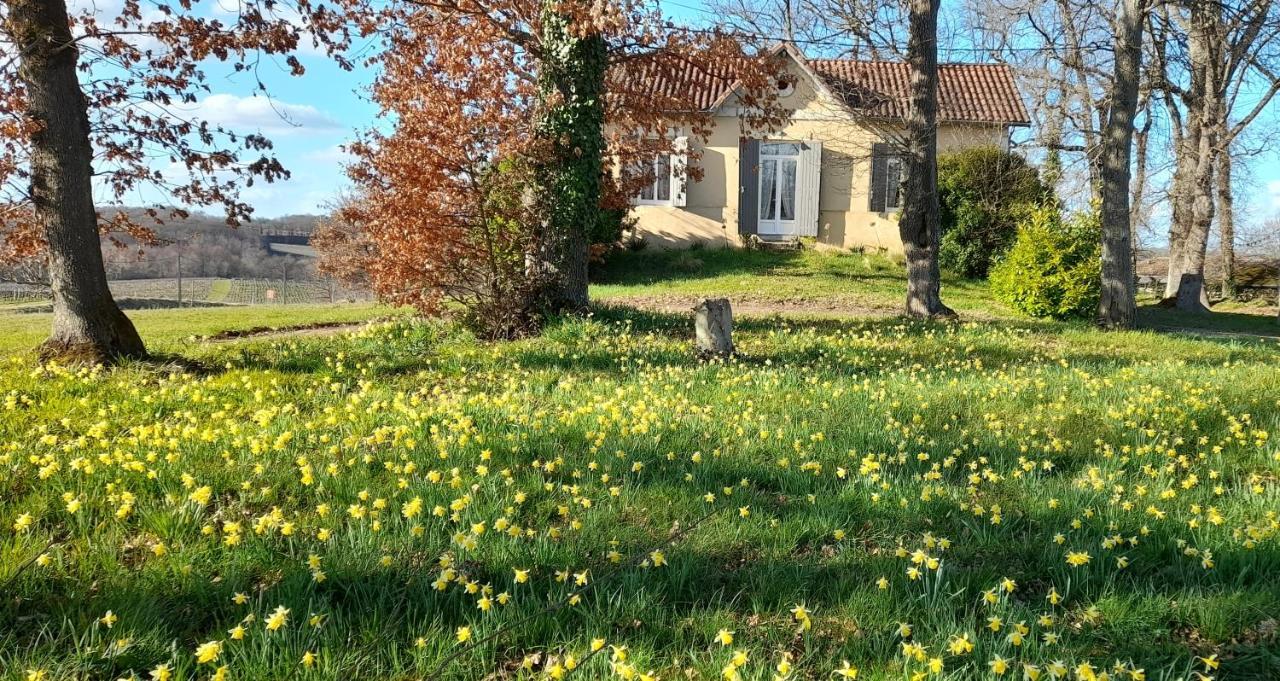 Saint-Genès-de-CastillonMoulin De Bigorre别墅 外观 照片
